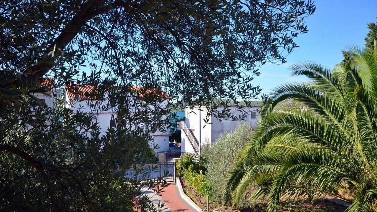 Photo of Outdoor in Pirovac