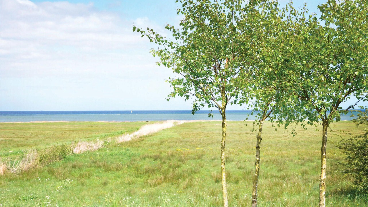 Photo of Bedroom in Ørsted