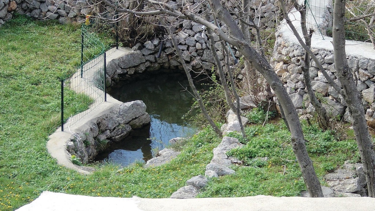 Photo of Others in Cesarica
