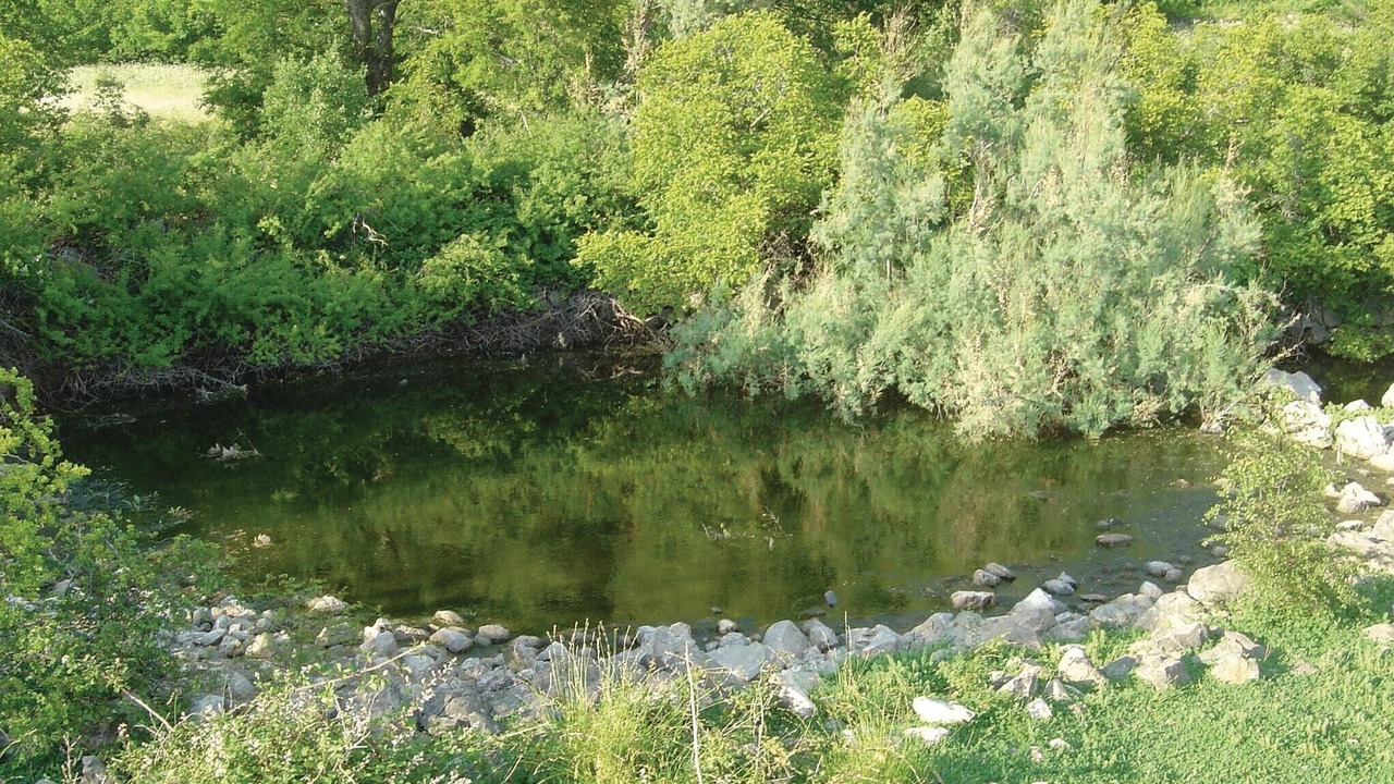 Photo of Others in Cesarica
