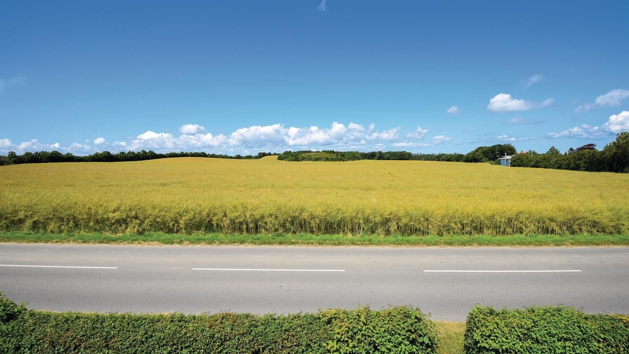 Photo of Bedroom in Rudkobing