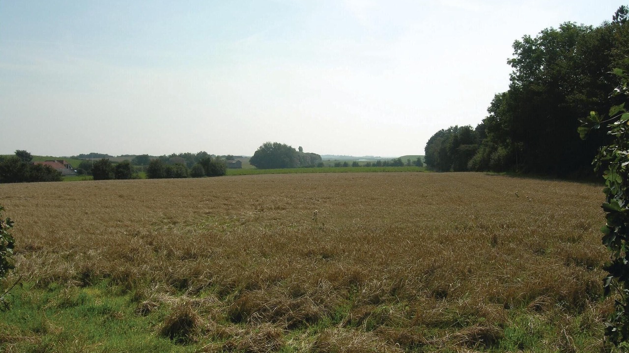 Photo of Bedroom in Ristinge