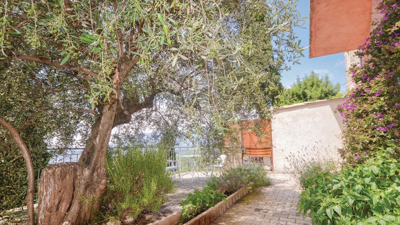 Photo of Others in Porcio