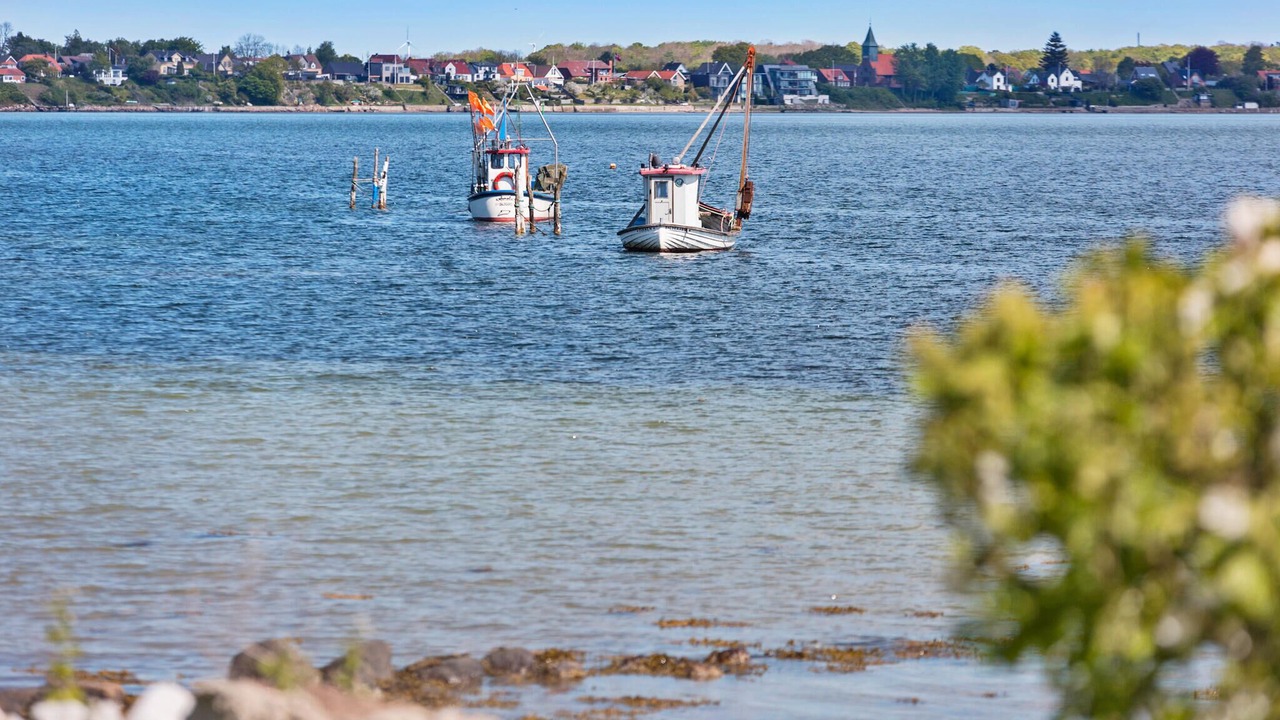 Photo of Others in Grasten