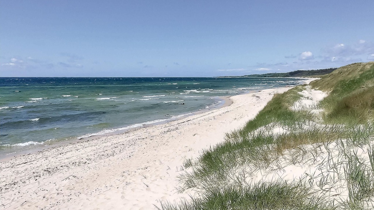 Photo of Others in Dueodde