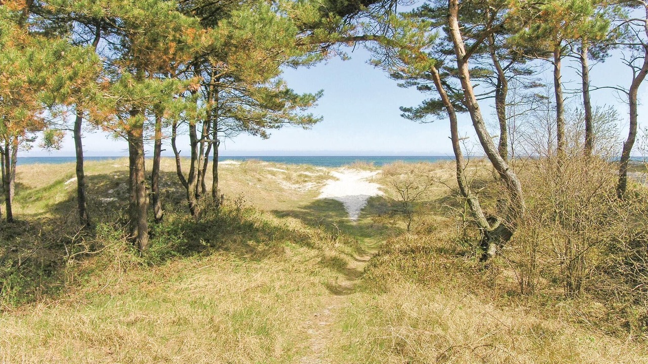 Photo of Others in Balka Strand