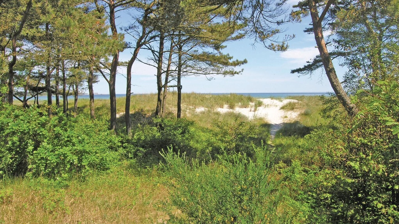 Photo of Bedroom in Balka Strand