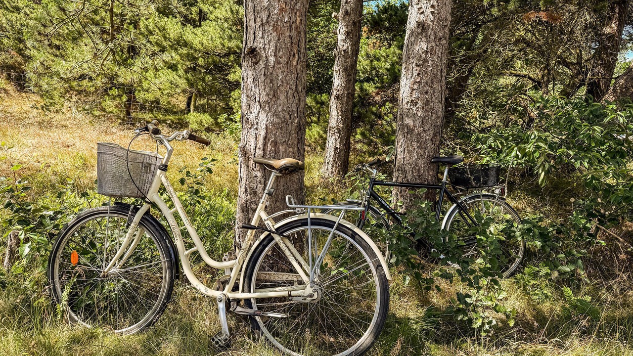 Photo of Others in Sønderstrand