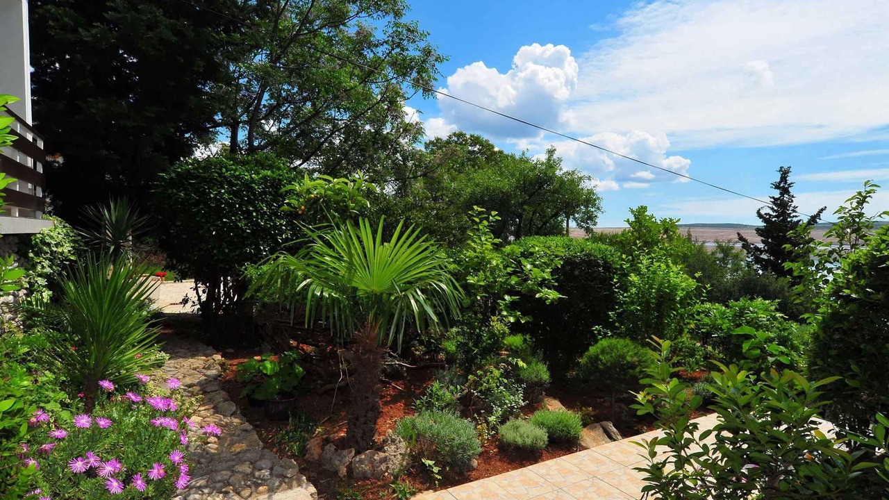 Photo of Outdoor in Seline
