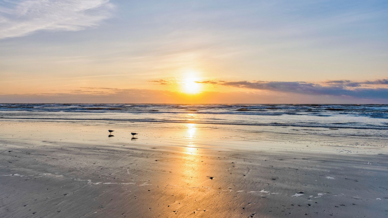 Photo of Others in Port Aransas