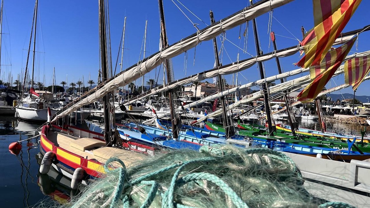 Photo of Others in Saint-Cyprien Plage