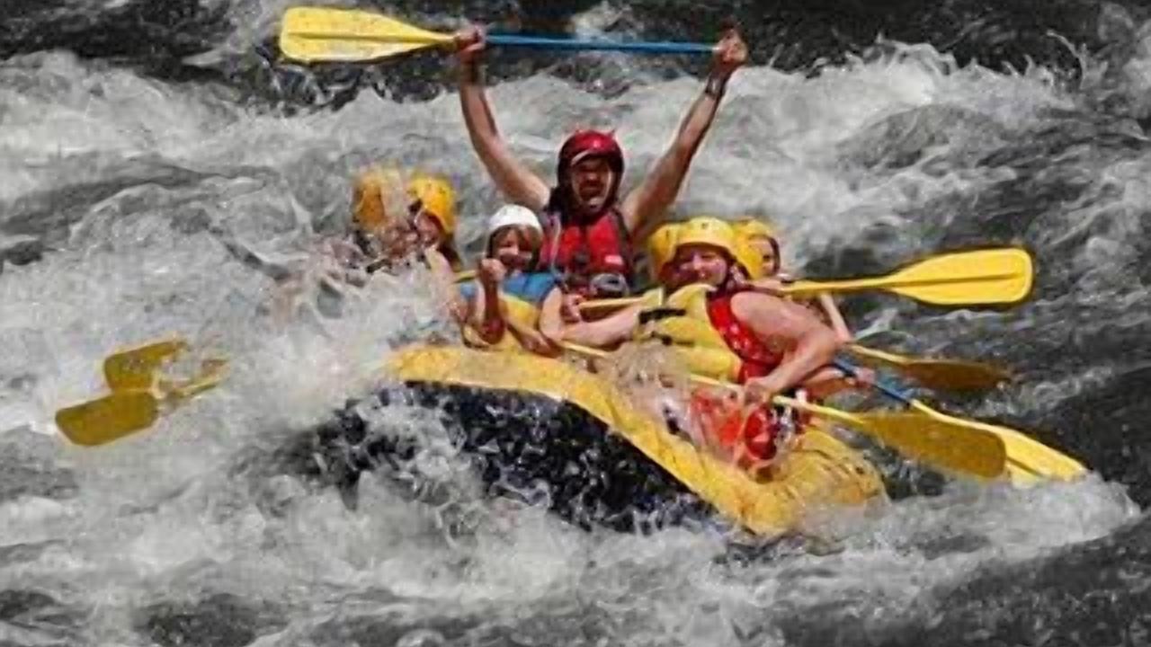 Photo of Others in Sevierville