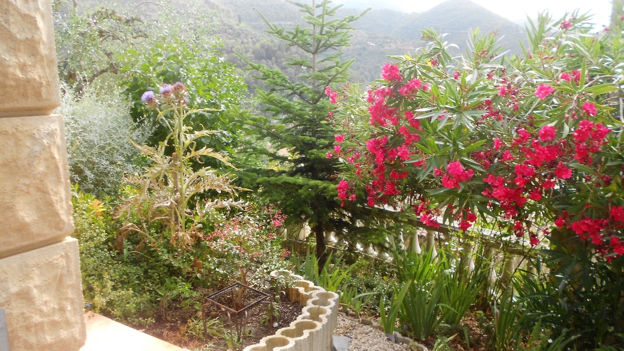 Photo of Outdoor in L'Escarene