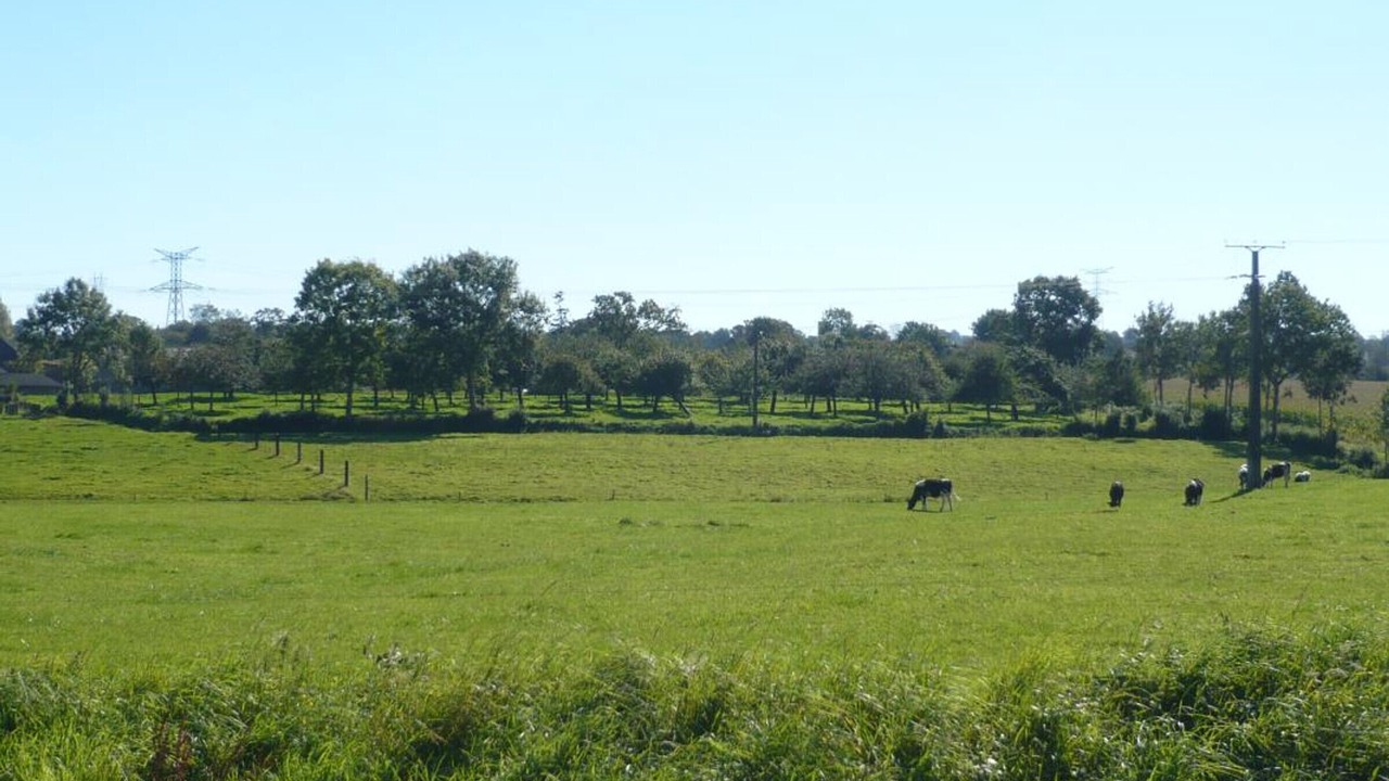 Photo of Others in Le Guislain