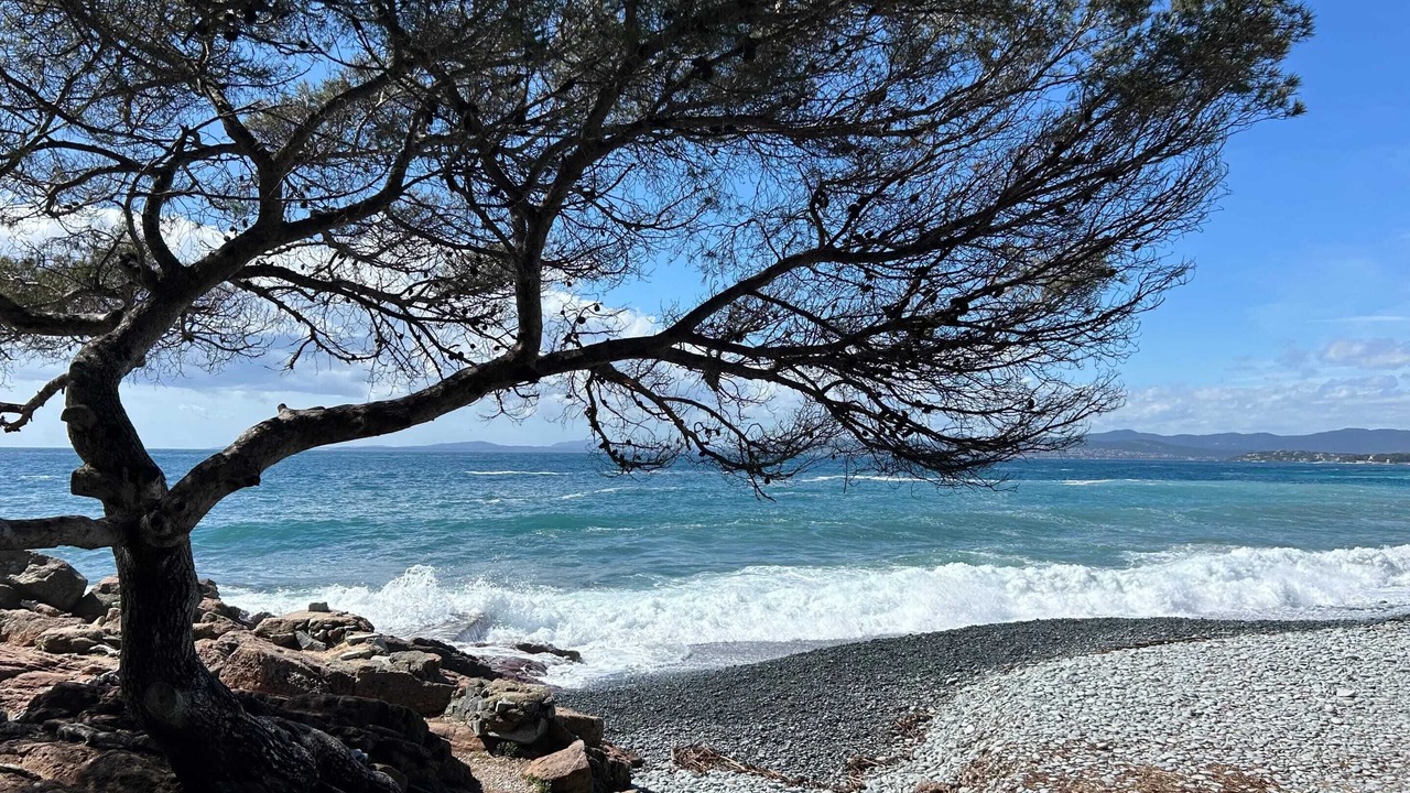 Photo of Others in Cap Esterel