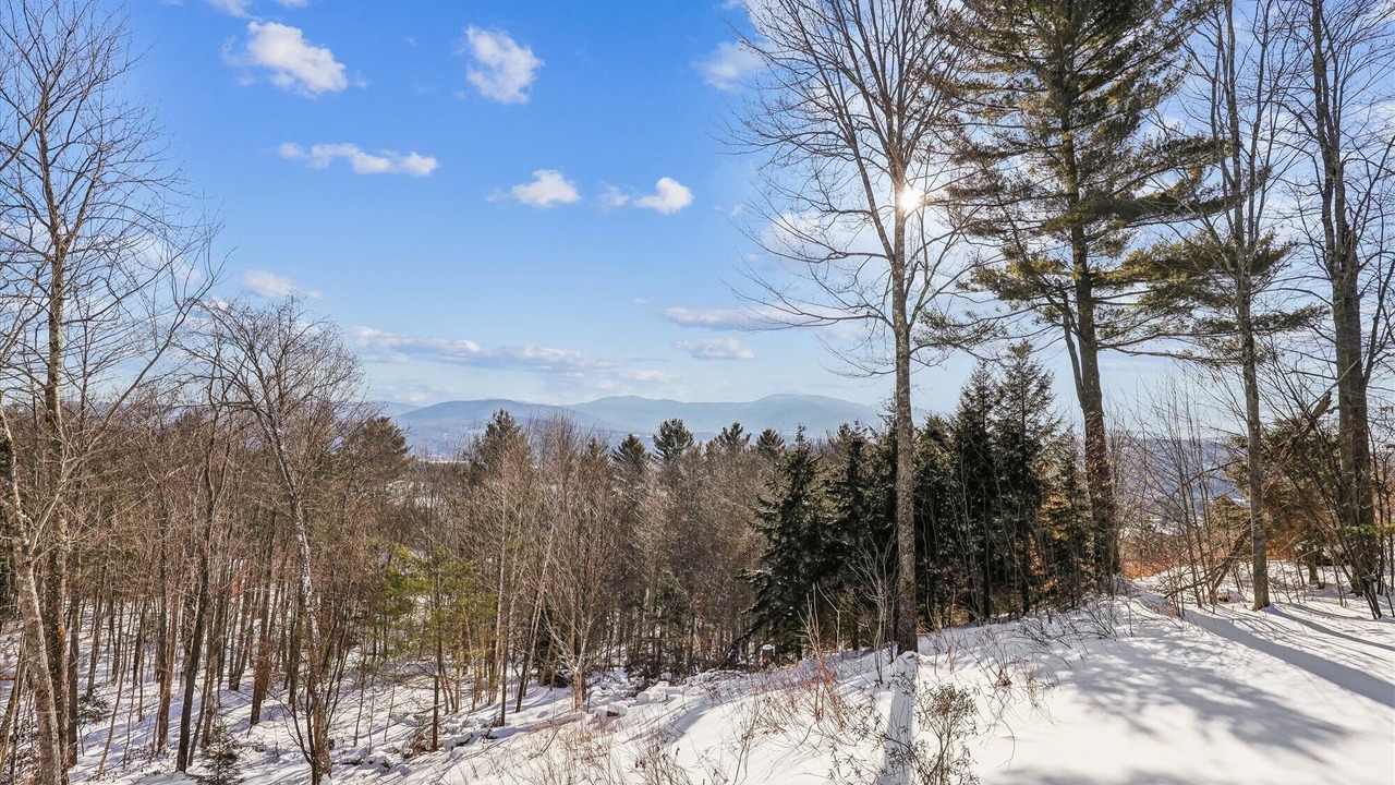 Photo of Others in Stowe Area