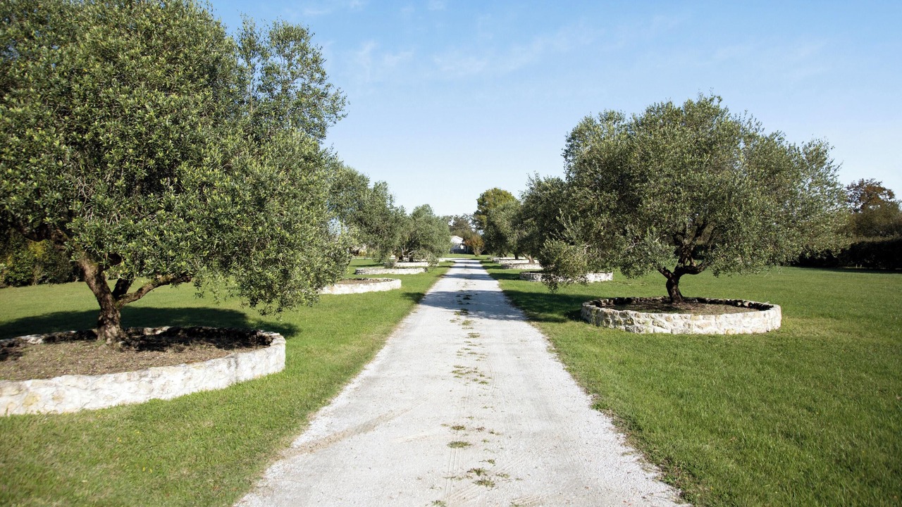 Photo of Outdoor in Saint-Germain-dEsteuil