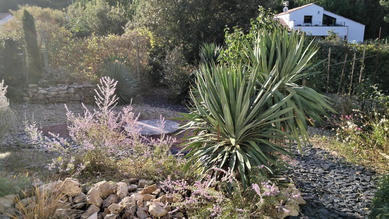 Photo of Outdoor in La Tranche-sur-Mer