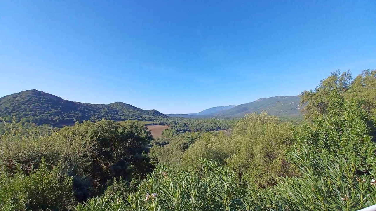 Photo of Others in Lecci