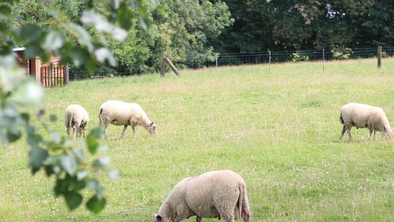 Photo of Outdoor in Villedieu-les-Poeles-Rouffigny