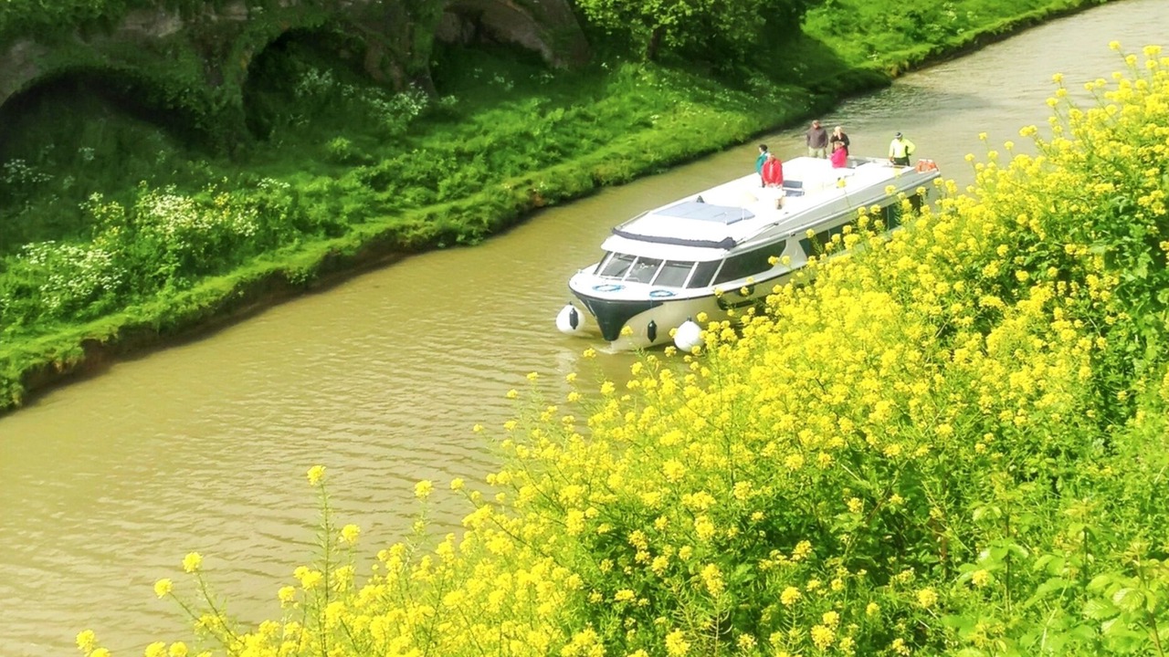 Photo of Others in Carcassonne