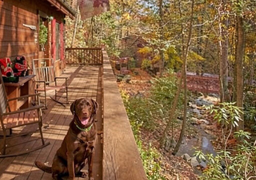 Photo of Outdoor in Chalet Village