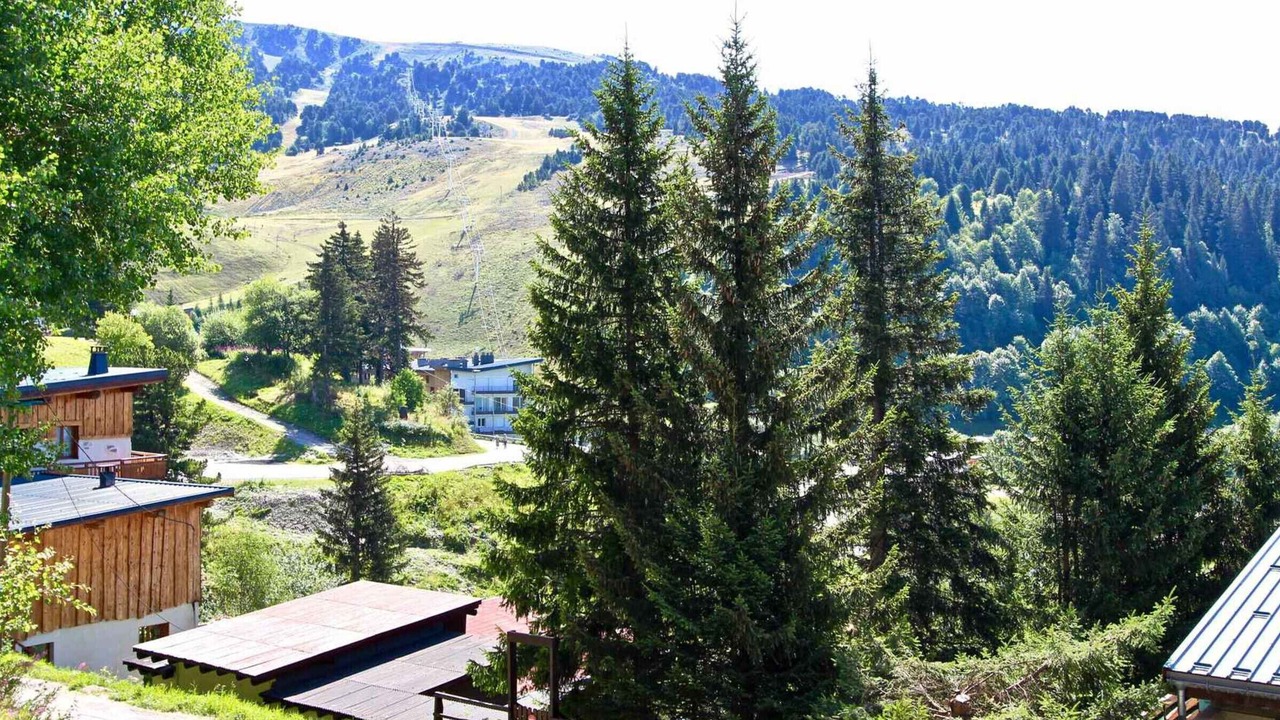 Photo of Others in Chamrousse