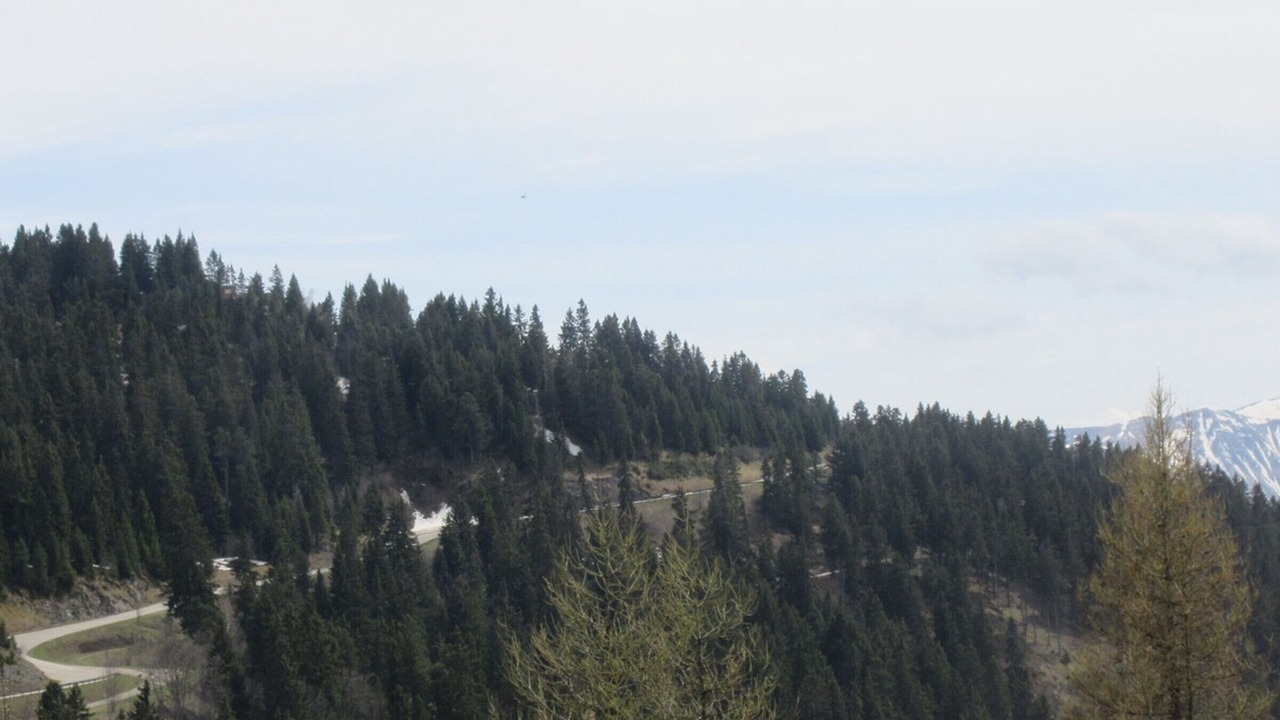 Photo of Others in Chamrousse