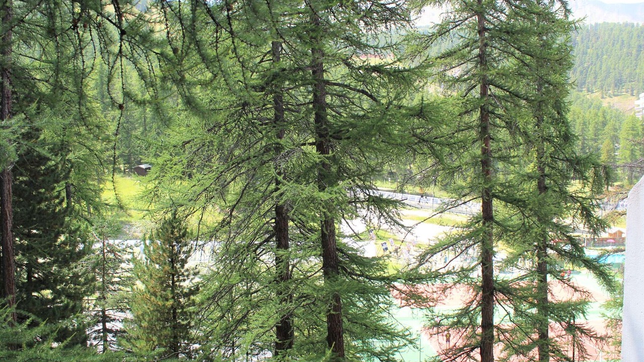 Photo of Others in Les Claux