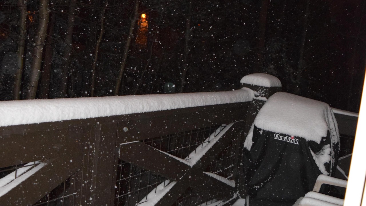 Photo of Outdoor in Four O'Clock