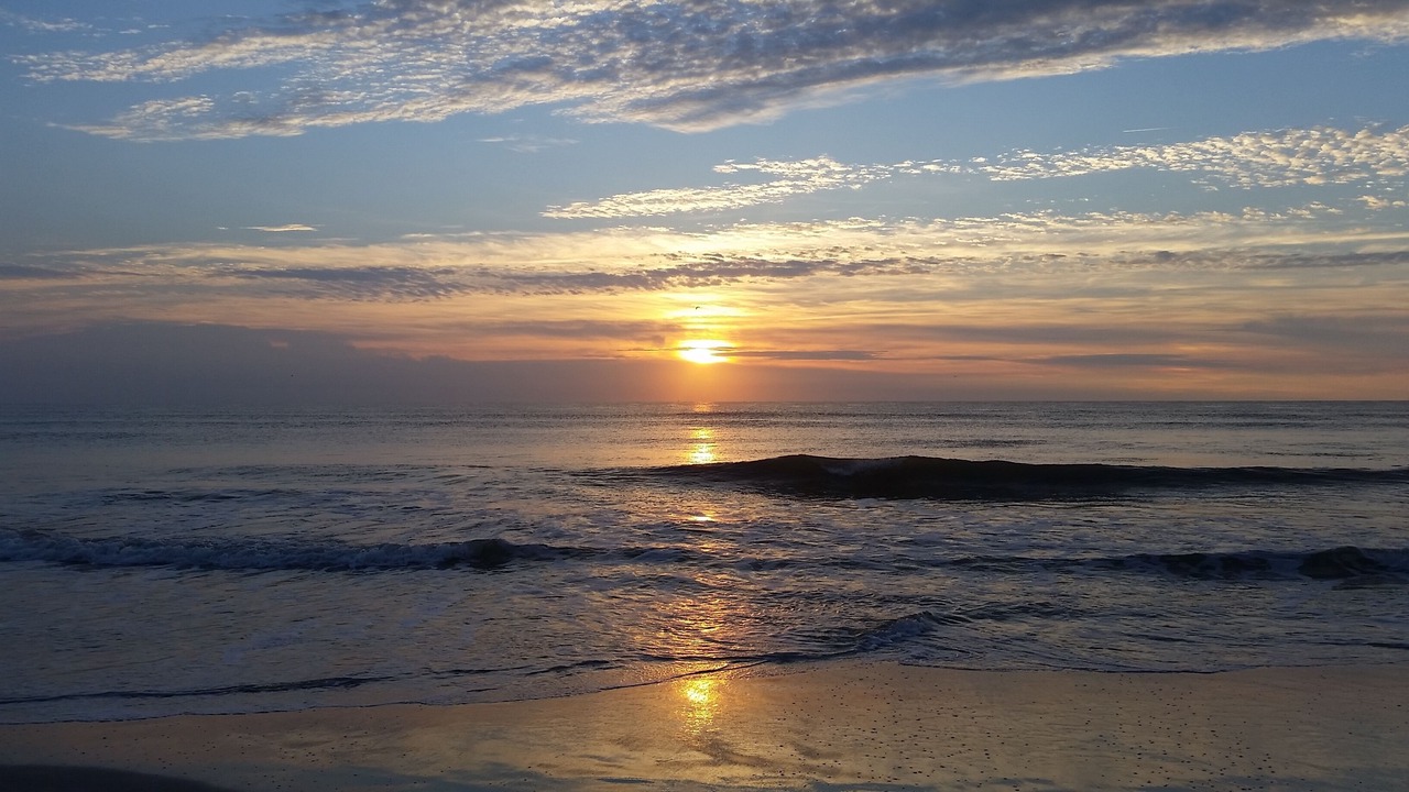 Photo of Others in Jacksonville Beach