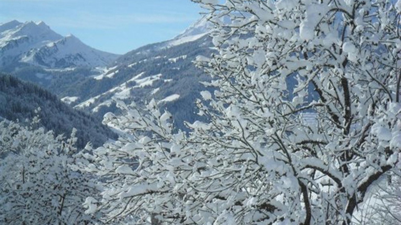 Photo of Others in Hauteluce