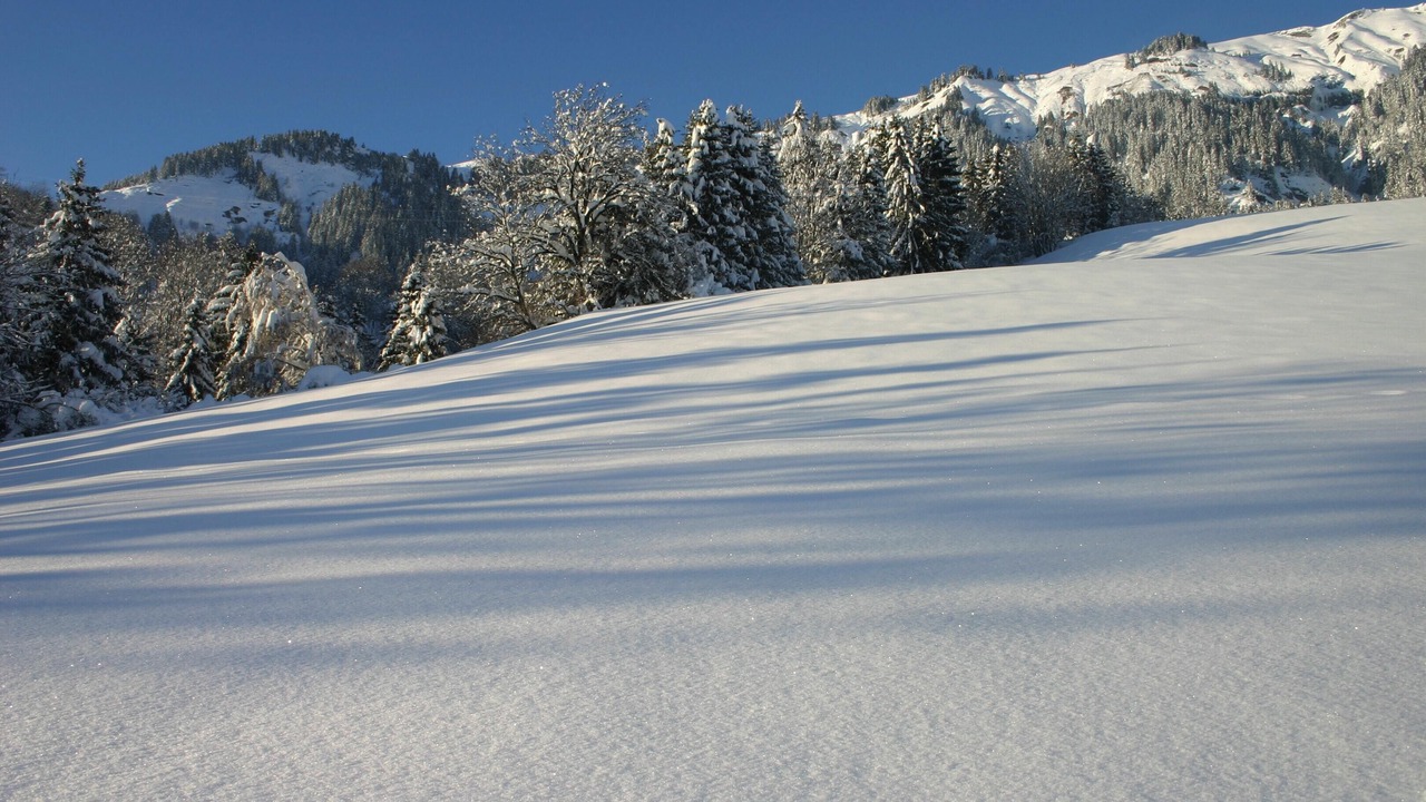 Photo of Others in Hauteluce