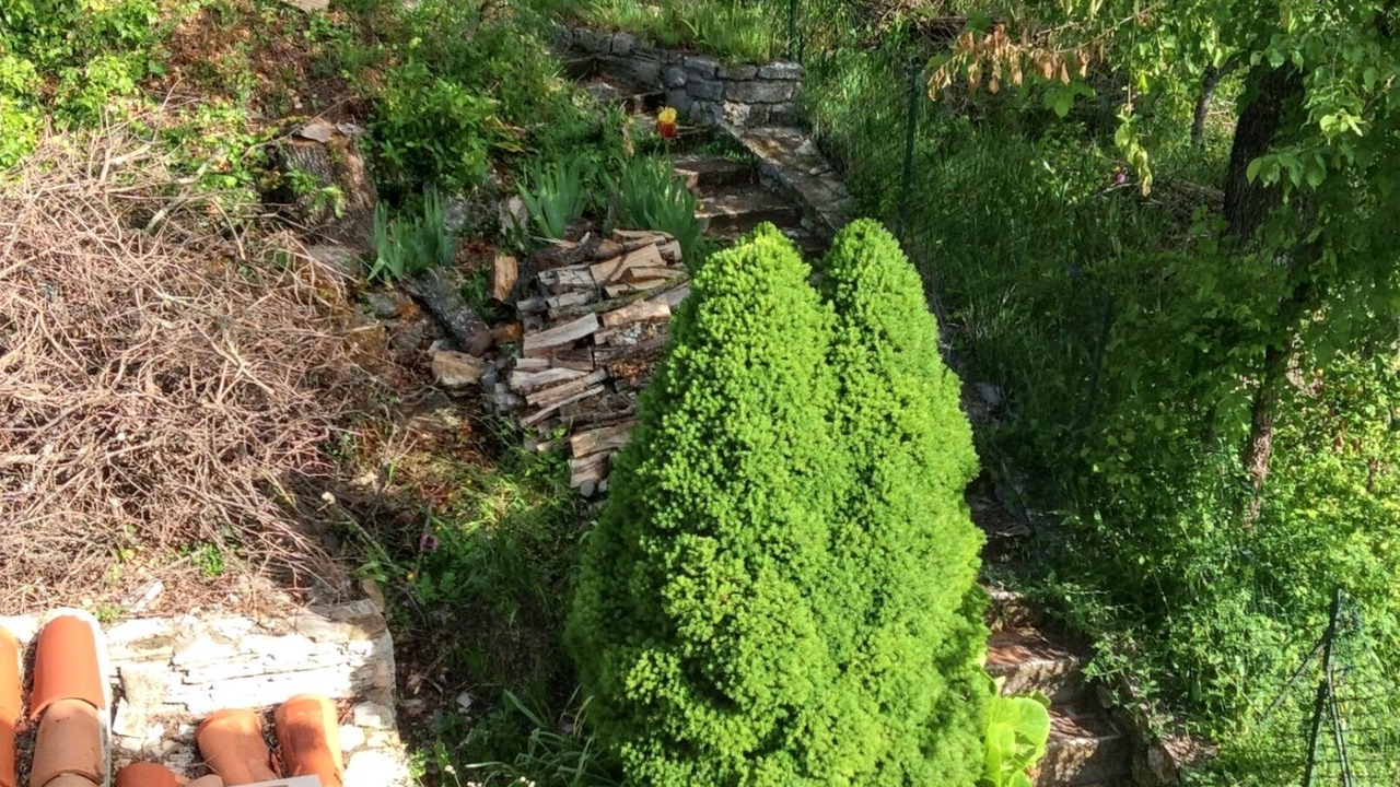 Photo of Outdoor in Vacheres
