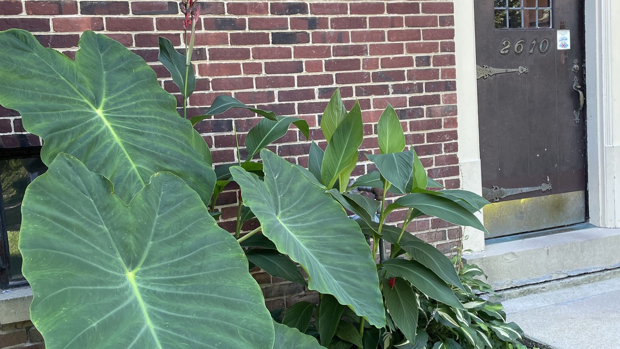 Photo of Outdoor in Mount Penn