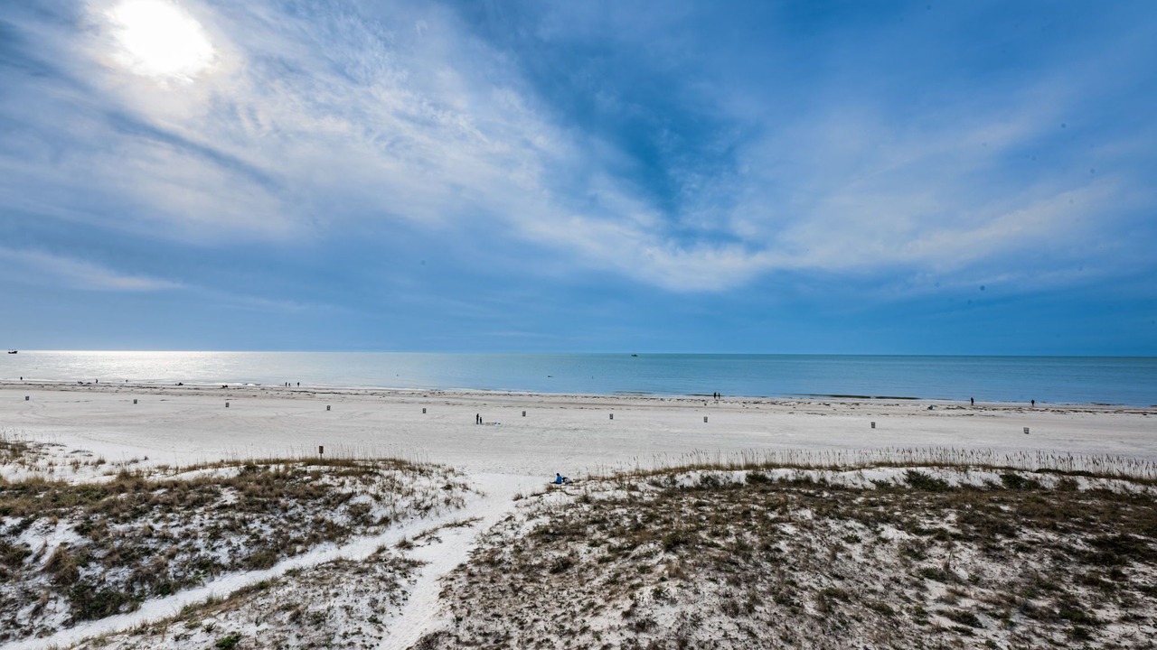 Photo of Others in Clearwater Beach