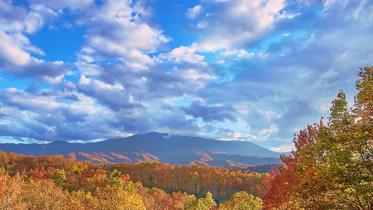 Photo of Others in Gatlinburg