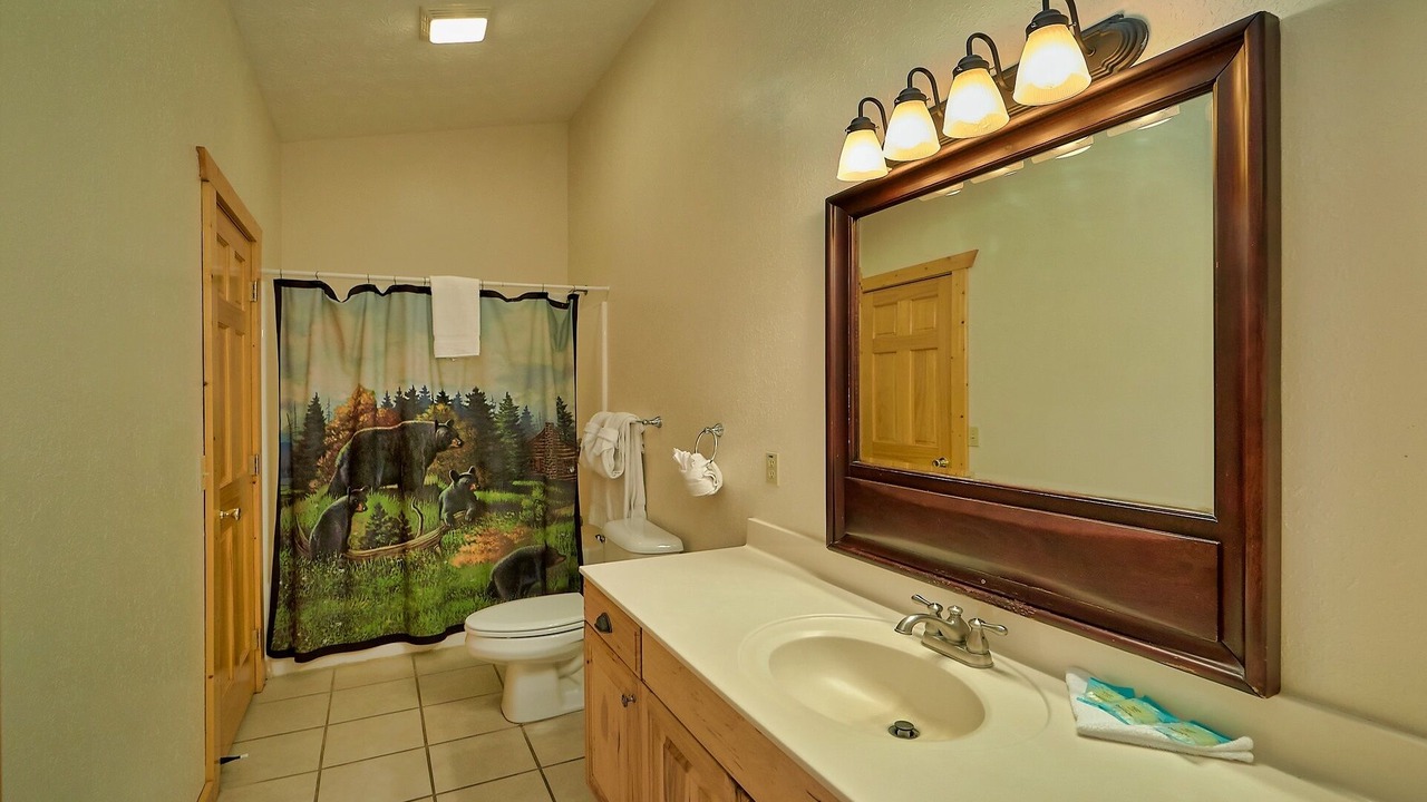 Photo of Bathroom in Gatlinburg