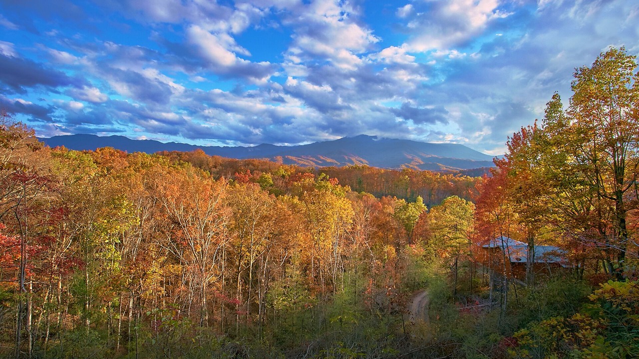 Photo of Outdoor in Gatlinburg
