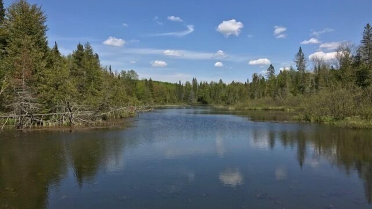Photo of Others in Presque Isle