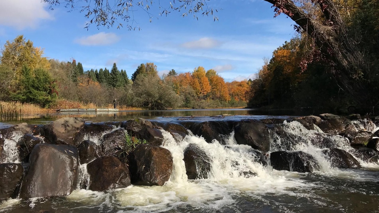 Photo of Others in Presque Isle