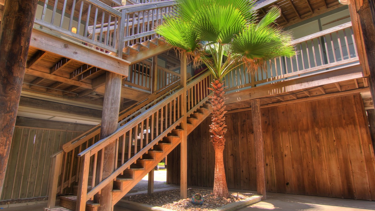 Photo of Others in Port Aransas