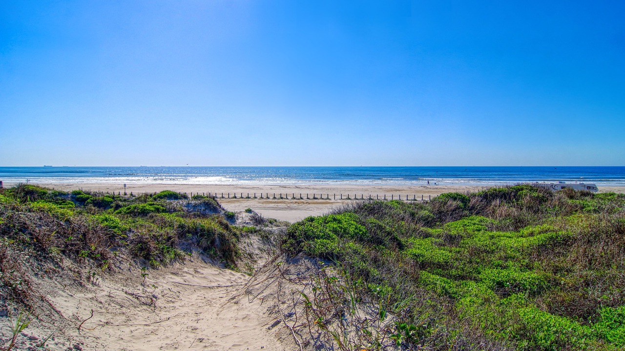Photo of Others in Port Aransas