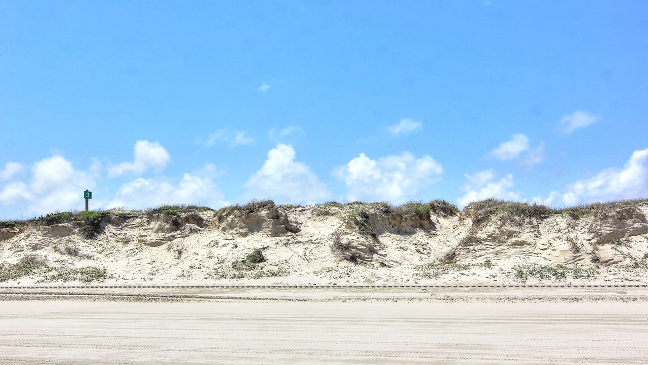 Photo of Others in Port Aransas