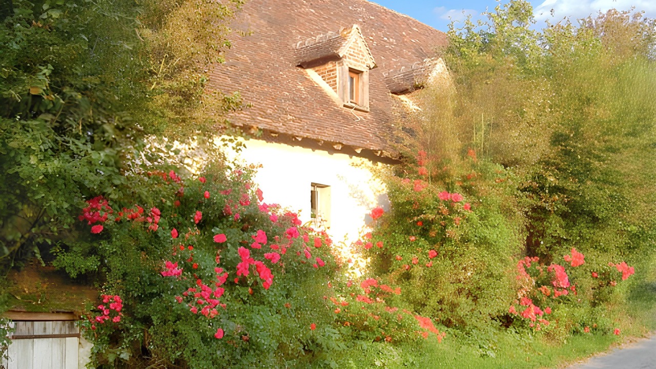 Photo of Others in Coudray-au-Perche