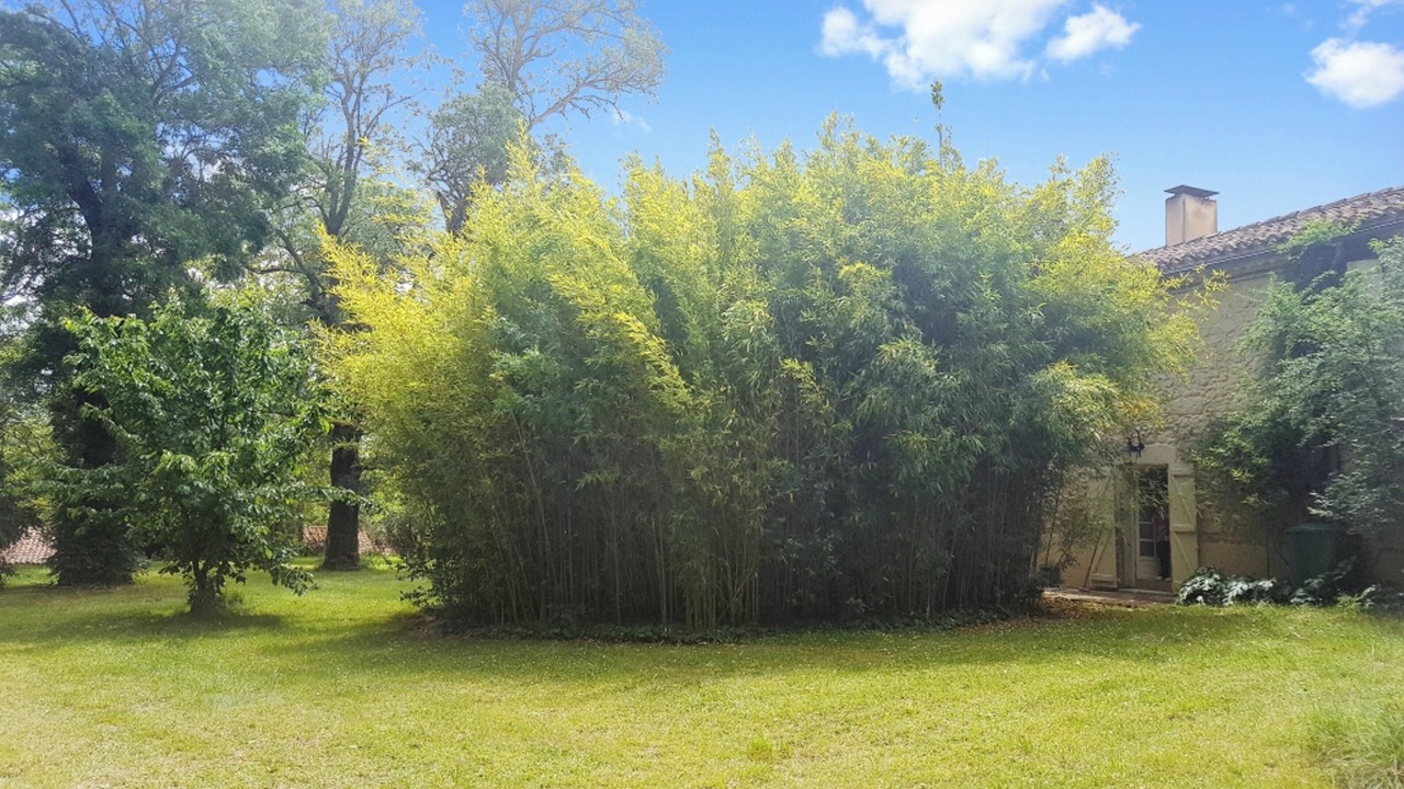 Photo of Outdoor in Crastes