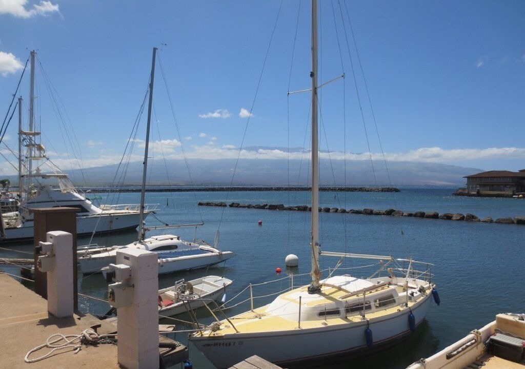 Photo of Others in Maalaea