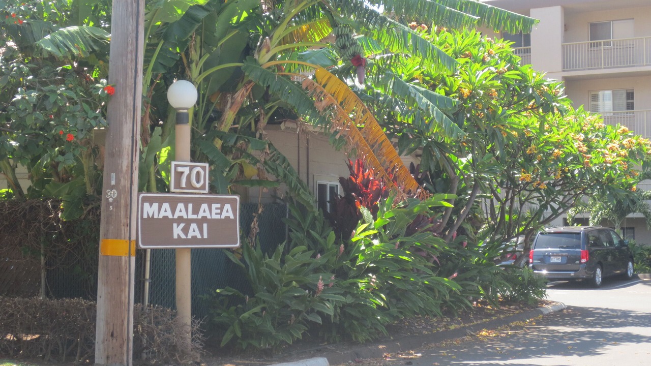 Photo of Others in Maalaea