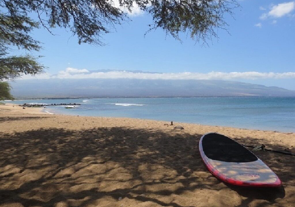 Photo of Others in Maalaea