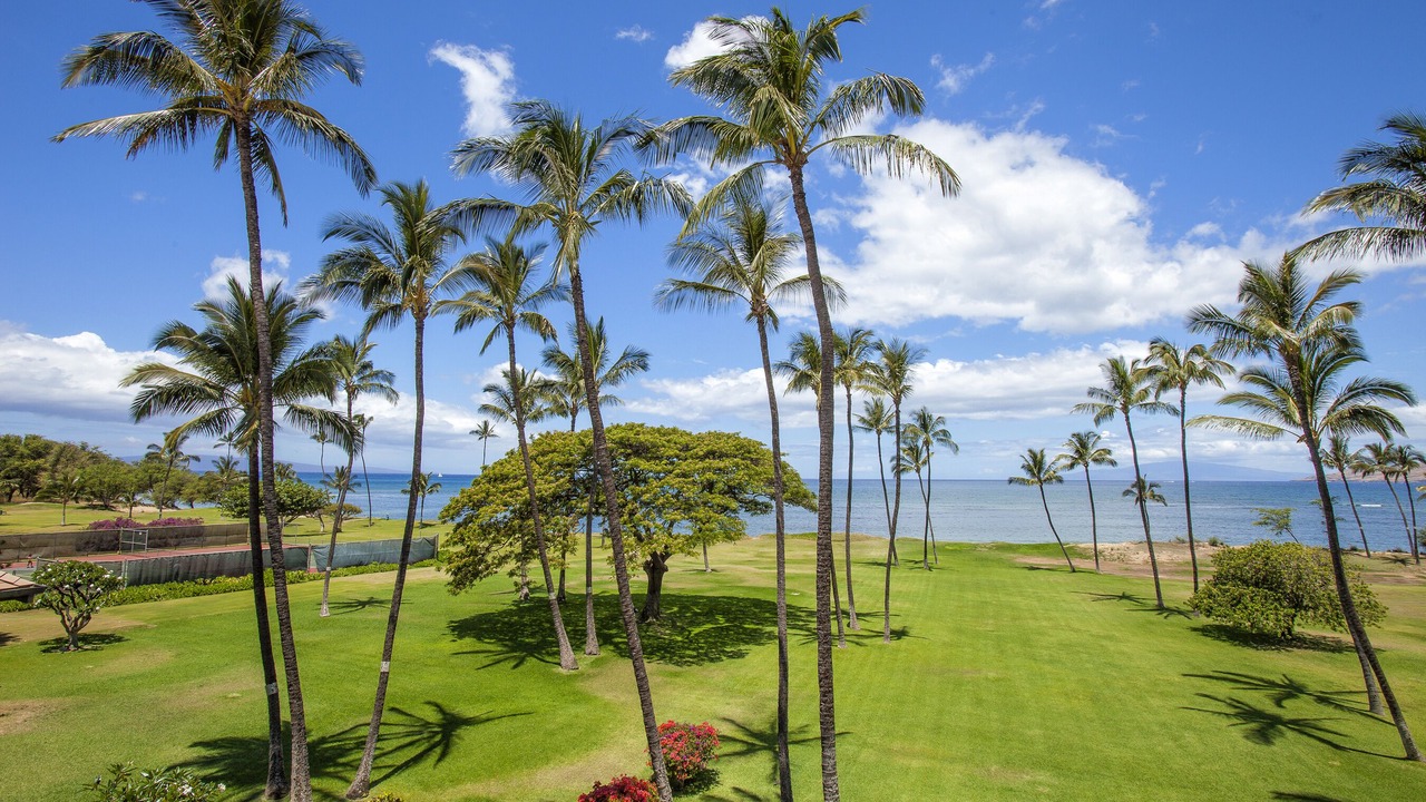 Photo of Others in Kihei